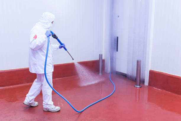 Best Paint Preparation  in West Babylon, NY